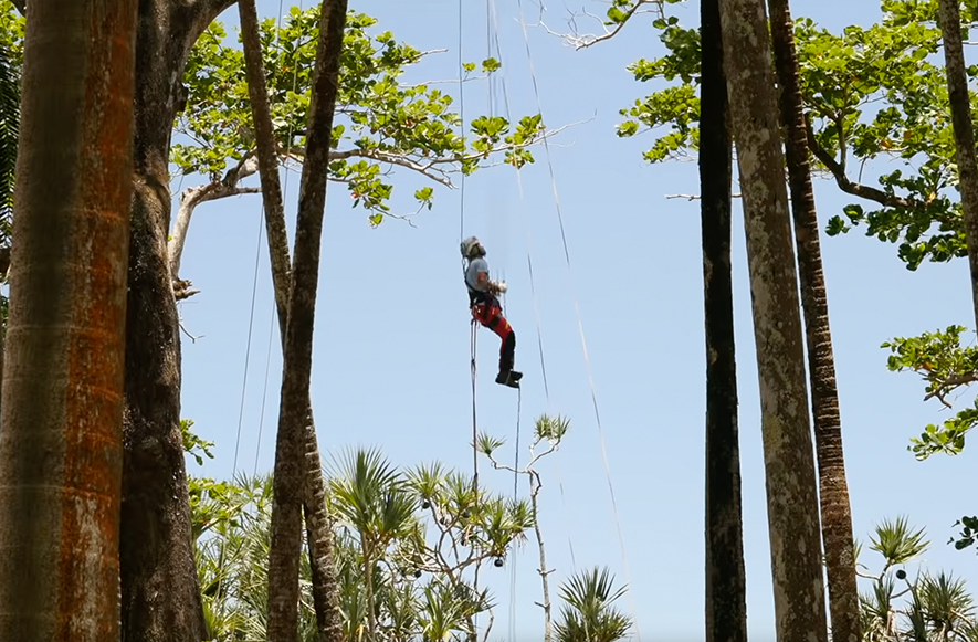 Championnats Arboristes Grimpeurs- Marie Trouve